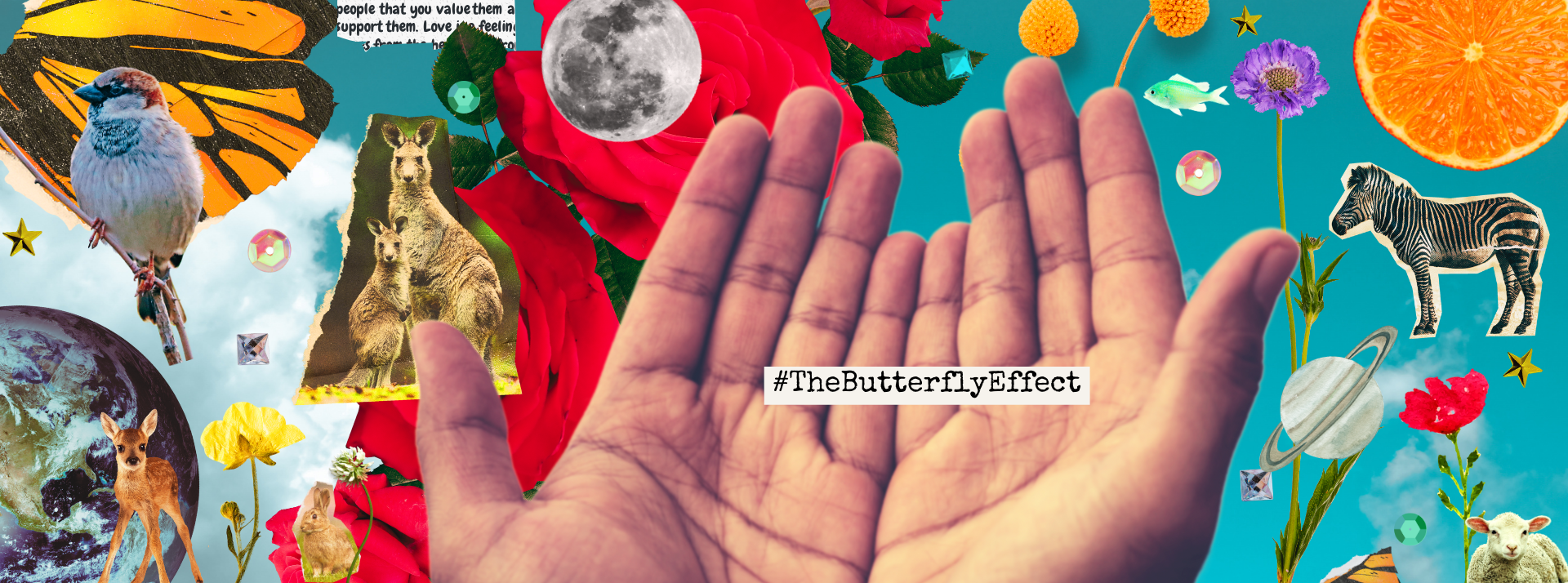 #TheButterflyEffect